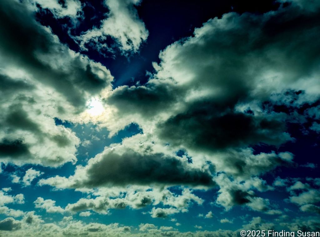 Was It In My Best&nbsp;Interest